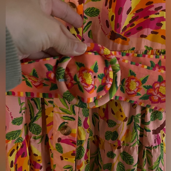 Farm Rio Printed Ruffle Shirt Dress - Picture 8 of 8